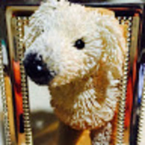 Meet your Posher, Jan